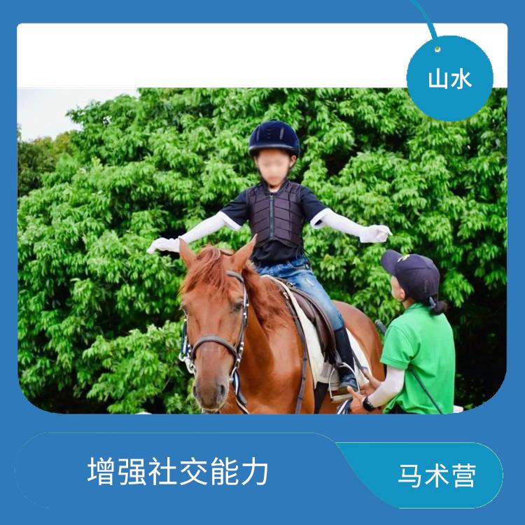 广州国际马术营 培养孩子的责任感 促进身心健康