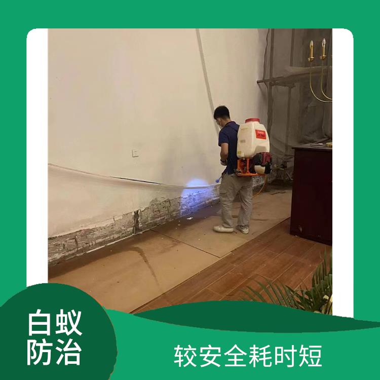 佛山杨和镇白蚁防治电话 较安全耗时短
