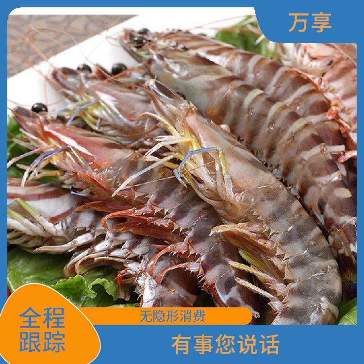 新加坡冷冻虾进口报关代理 办事效率高 多年冷冻海鲜报关经验