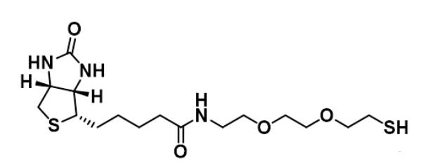 Biotin-PEG2-SH      0