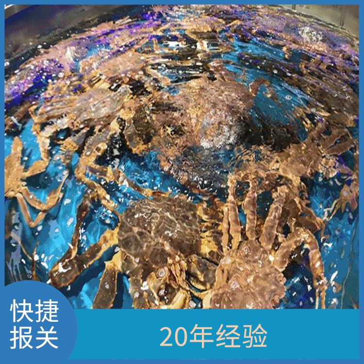 北京鲜活水产品报关服务公司 空运海鲜报关 20年经验