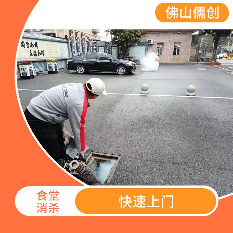 勒流街道食堂消杀多少钱 灭鼠 规范施工