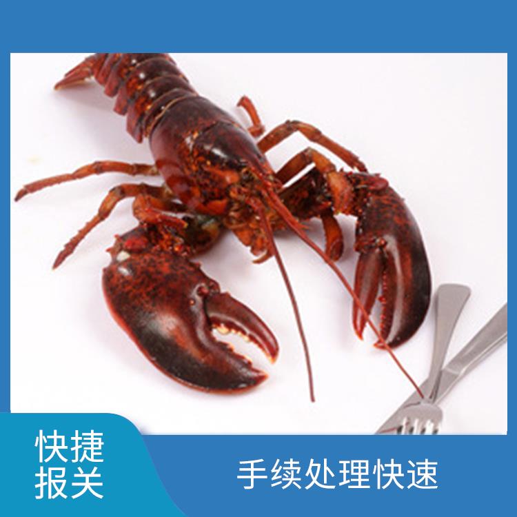 广州鲜活水产品报关服务 配合程度较高 点击详情