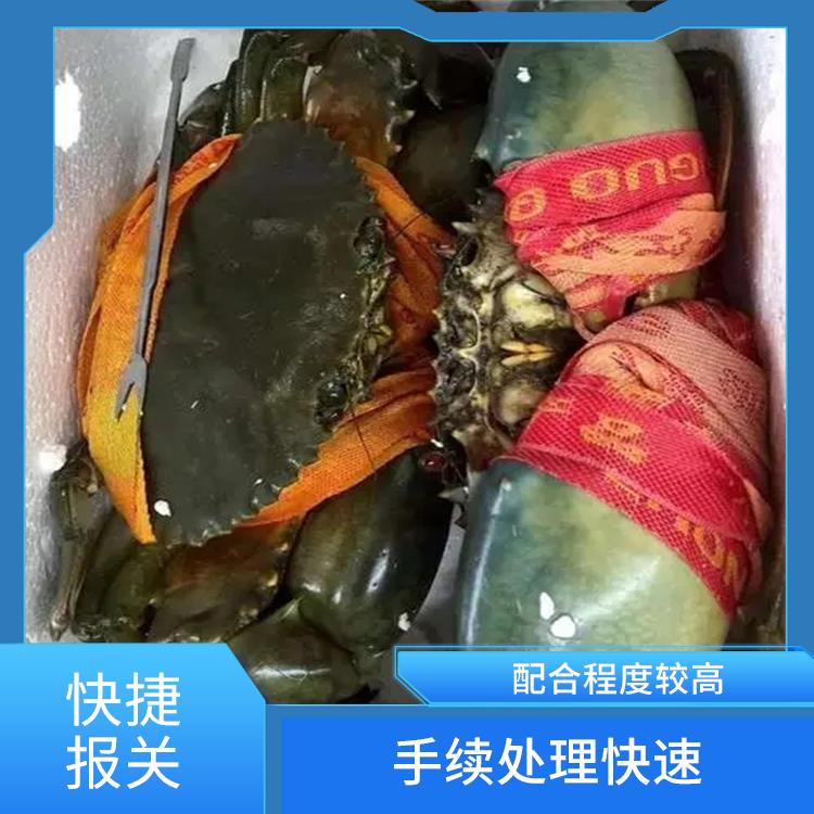 代理活海鲜进口清关物流公司 客服响应快速 快捷报关