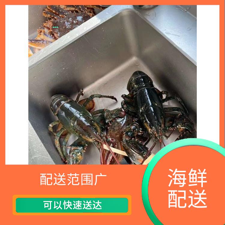 东莞横沥海鲜配送平台电话