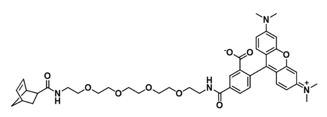 Norbornene-5-TAMRA     0