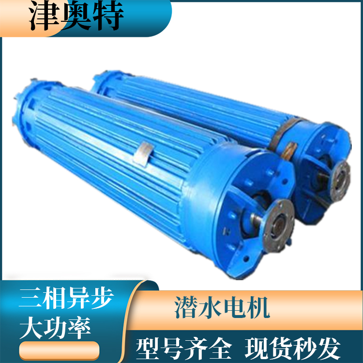 潜水电机-充水式高压380v三相异步电机-结构简单-大功率