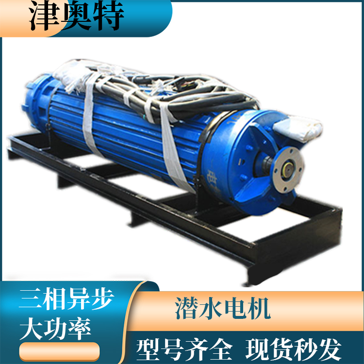 奥特泵业 油浸式潜水电机 高温 低转速 选型定制