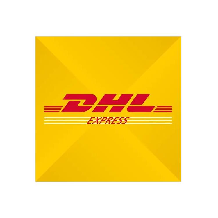 长沙国际快递物流 价格优 DHL