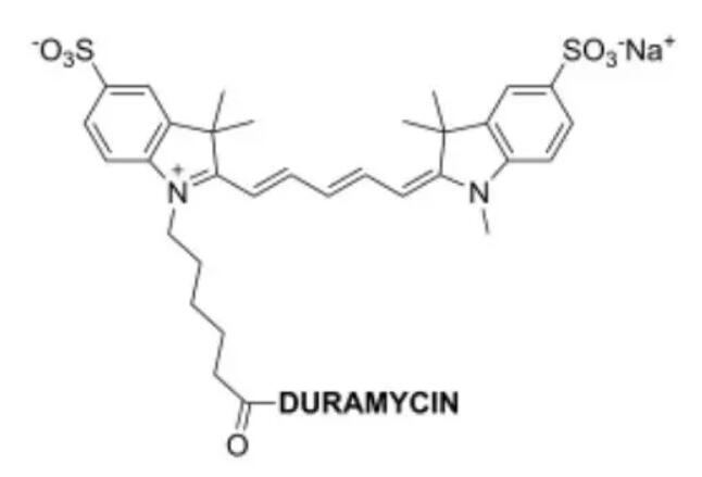 Duramycin-Cy5     0