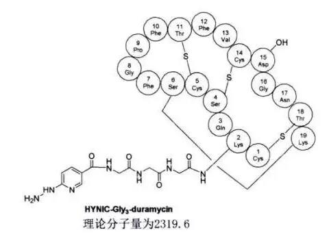 HYNIC-Gly3-duramycin   ..