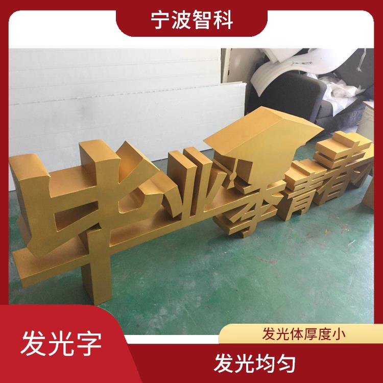 溫州鍍鋅烤漆立體字定制 發(fā)光均勻