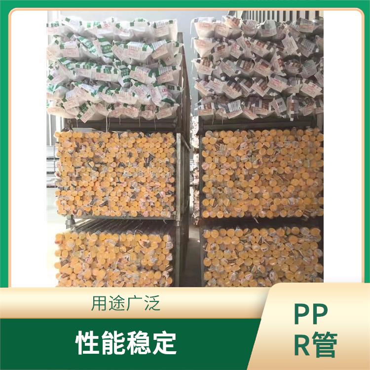 PPR管道 用途广泛 输送阻力小