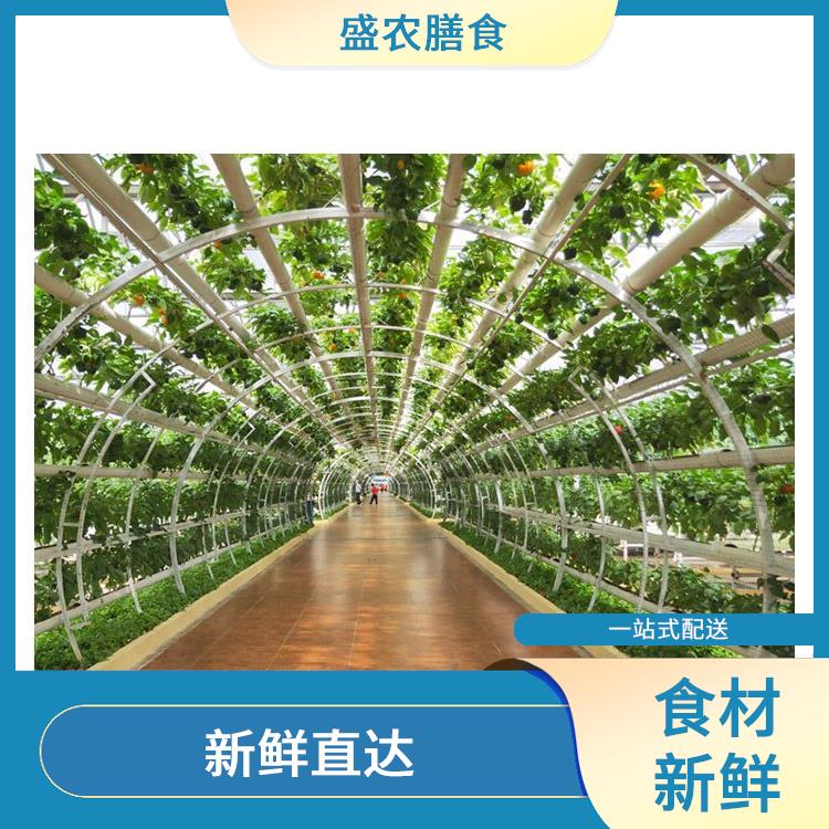广州餐饮服务公司 自有蔬菜种植基地
