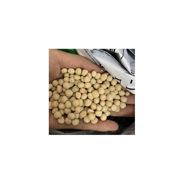 加拿大/美国 豌豆进口门到门服务 进口供应链公司