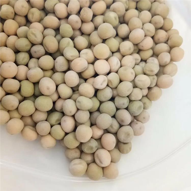 越南 豌豆进口报关公司 专注食品报关