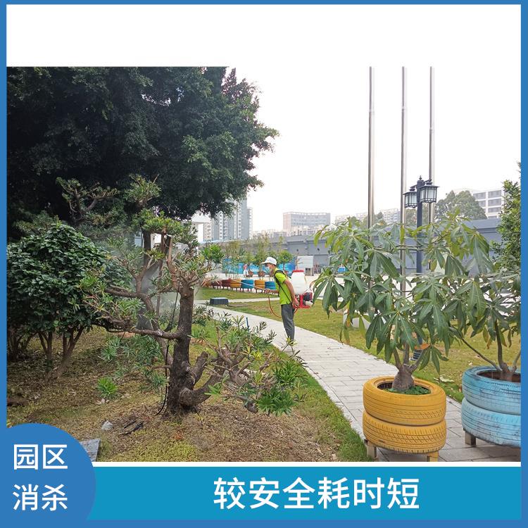 深圳 消杀公司 提供针对性方案