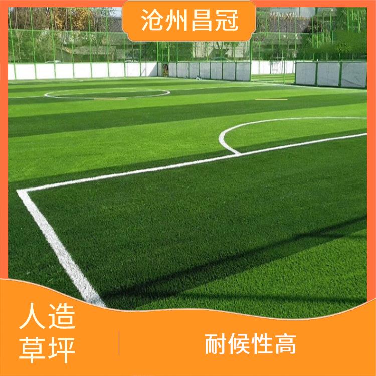 贵州足球场人造草坪定制 全天候使用 防水 防滑