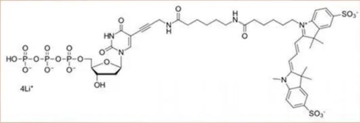 sulfo-Cyanine3 dUTP    0