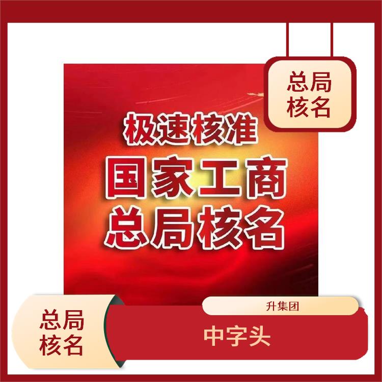 怎么申请总局公司名称