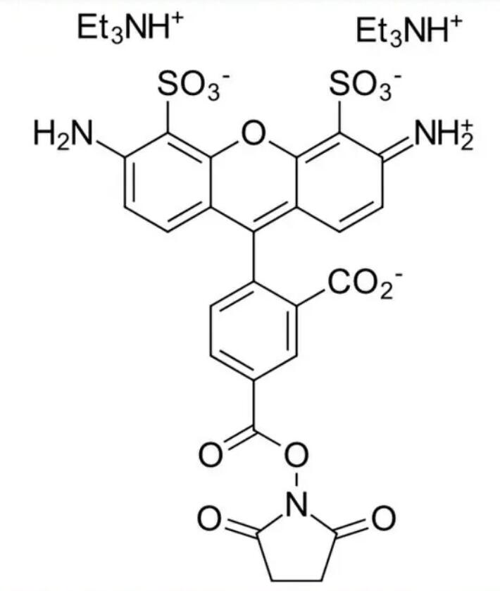 AFDye 488 Succinimidyl ..