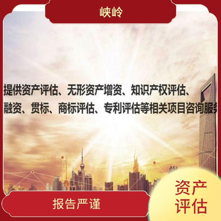 乐山资质价值评估收费标准 评估流程标准化
