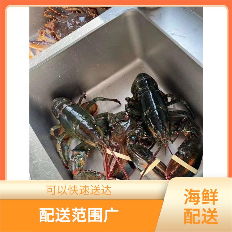 东莞樟木头海鲜配送电话 可以随时随地下单