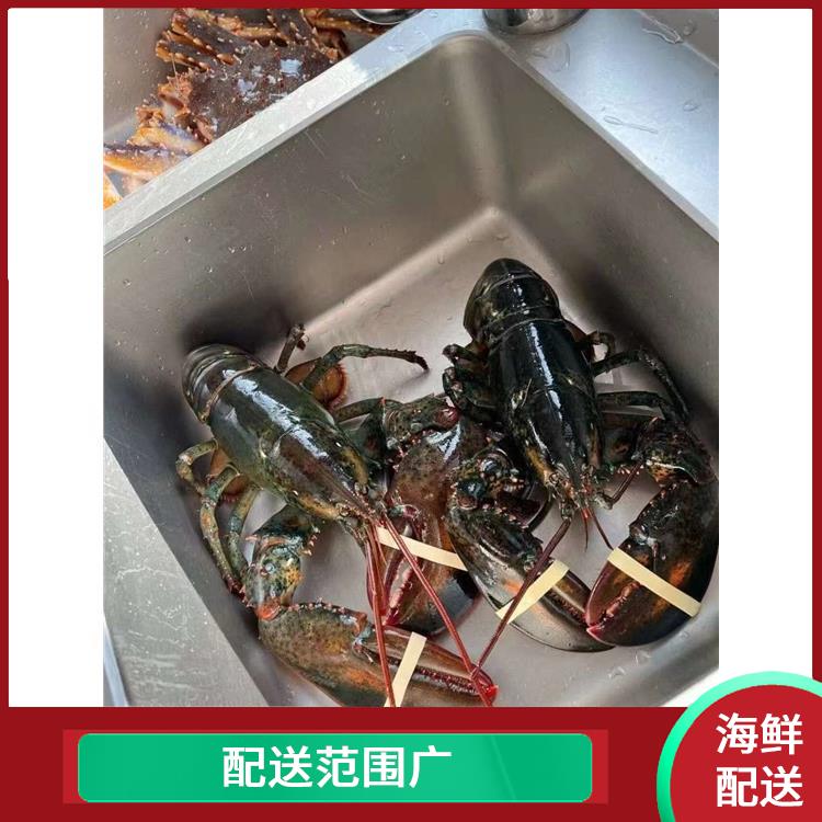 公明镇海鲜配送平台电话 多样化选择 能满足不同菜品的需求