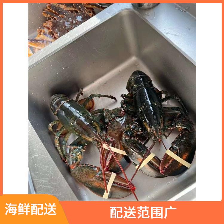 厚街汀山海鲜配送电话 配送范围广