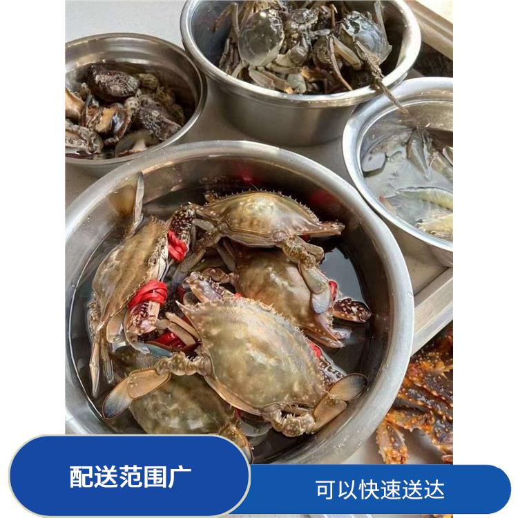 大朗海鲜配送平台 时效性较强 丰富多样