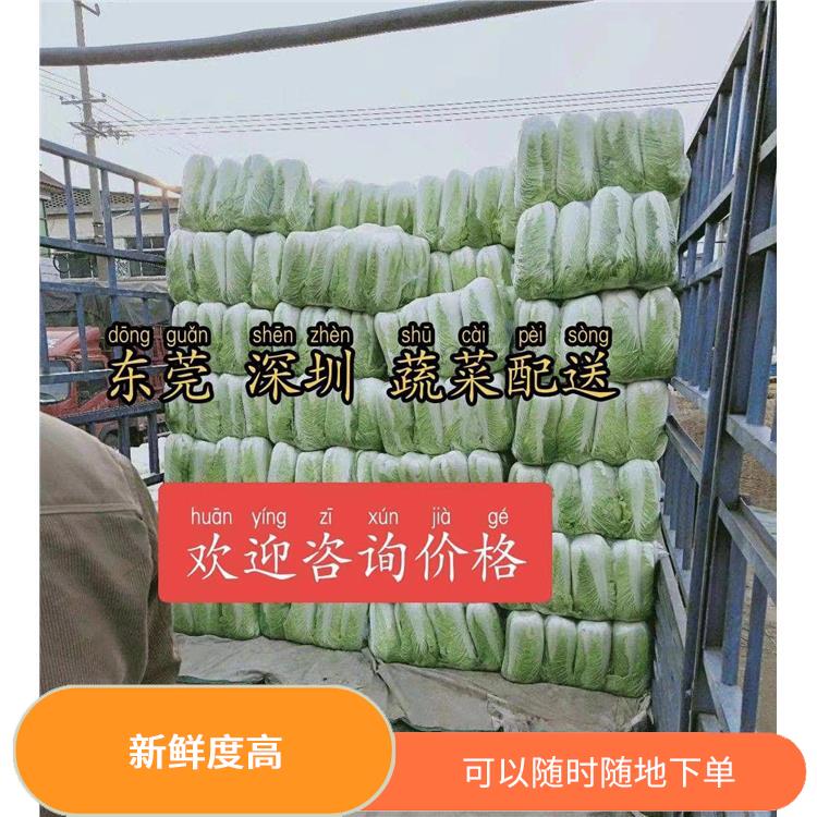 厚街南五蔬菜配送公司 可以随时随地下单 操作方便