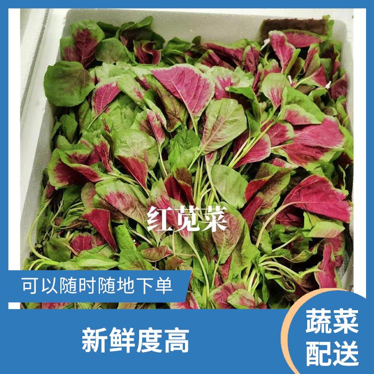 厚街宝塘蔬菜配送平台 新鲜度高 能满足不同菜品的需求