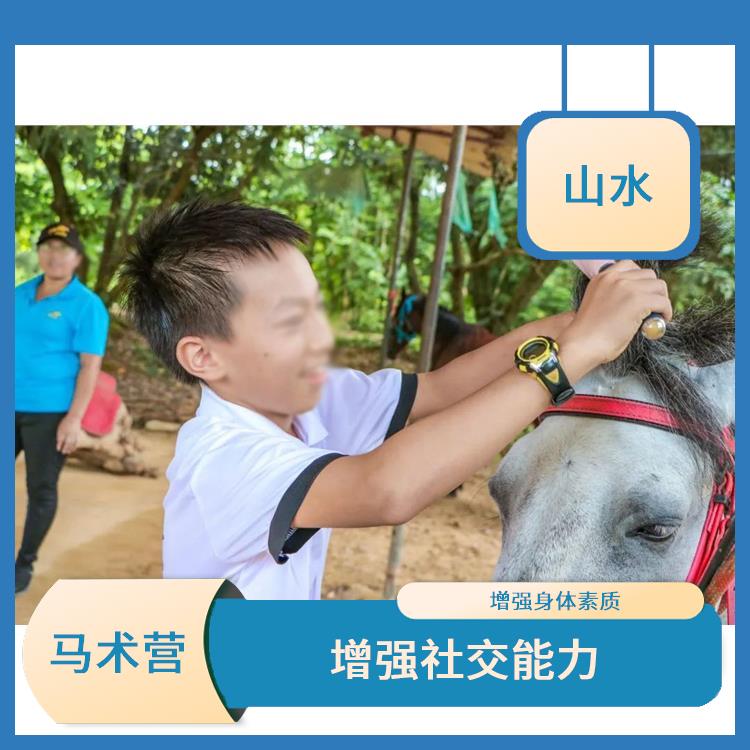 广州国际马术营 增强孩子的自信心 培养孩子的团队合作精神