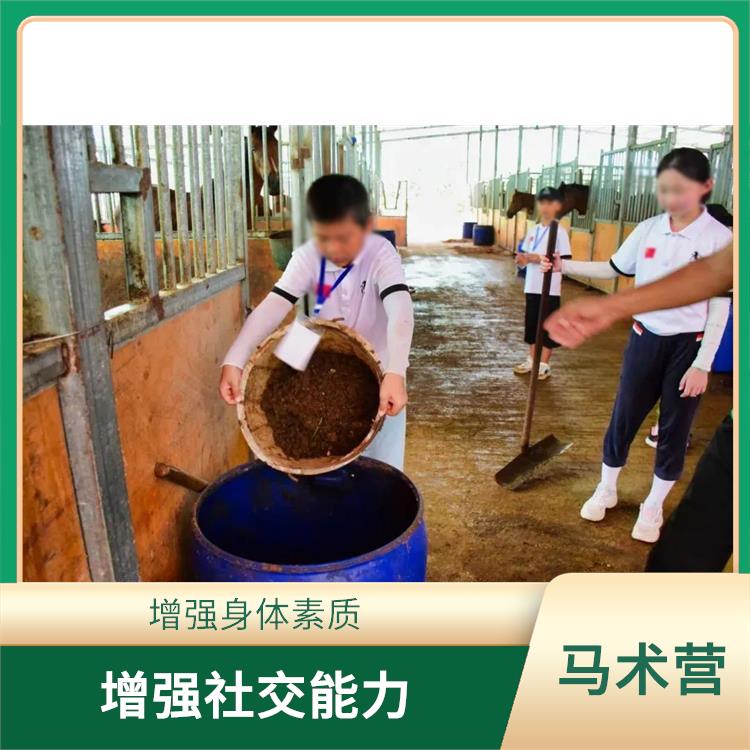 广州国际马术营 增强孩子的自信心 培养孩子的团队合作精神