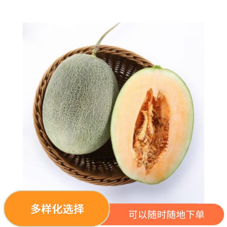 东城区蔬菜配送价格 多样化选择