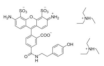 AF488 tyramide   0