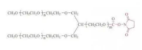 Y-shape PEG-SC   0