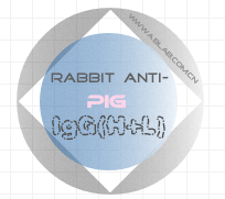 赛尔维品牌兔抗猪IgG H+L，货号：C020216，特异亲和纯化