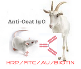 赛尔维品牌HRP-小鼠抗山羊IgG，