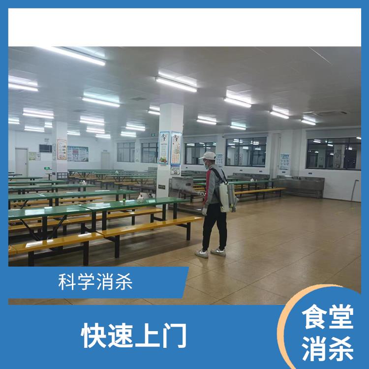 顺德伦教街道食堂消杀 害虫防治 多年消杀经验
