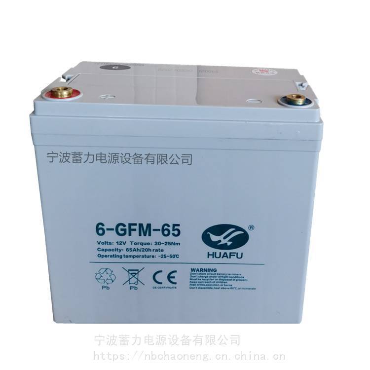 宁波西林叉车CBD15WE蓄电池6GFM65托盘搬运车电瓶