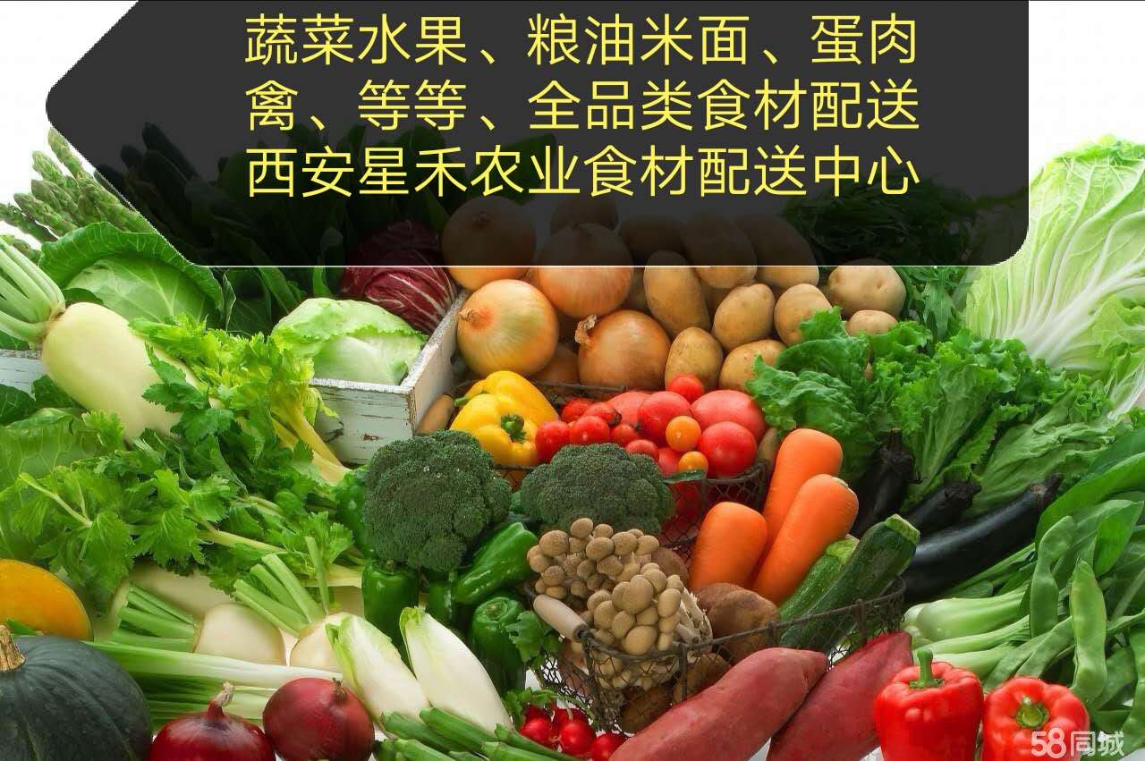 西安蔬菜粮油食材配送供应商
