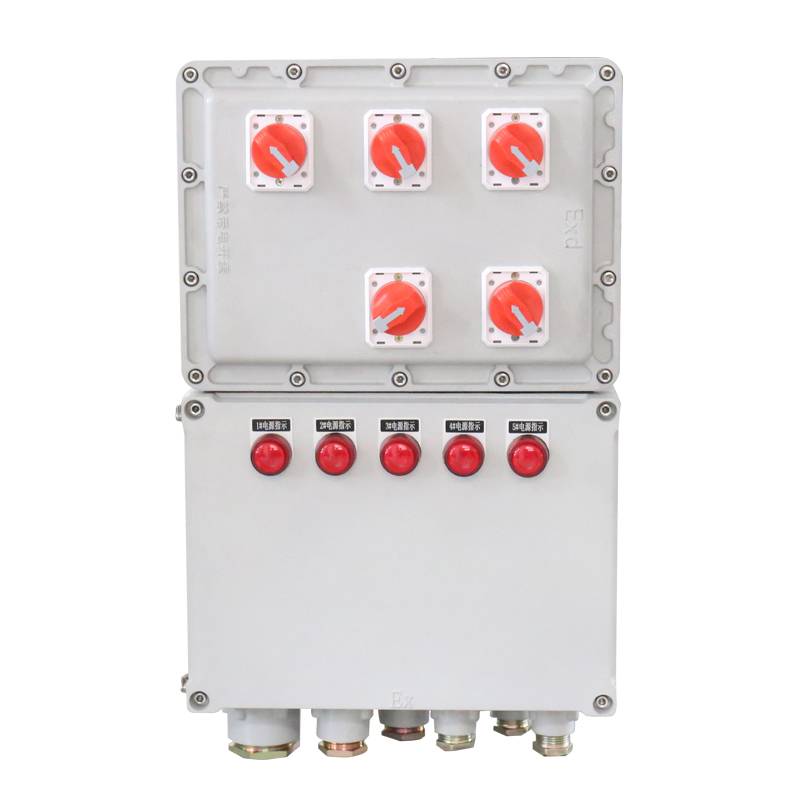PLC落地式防爆低压控制柜IP65级 触摸屏现场配电柜