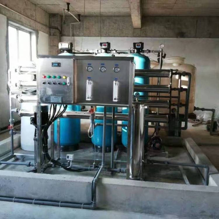 RO-1000纯水设备 瑞沃实力商家 大型生产基地 CHS-1000纯化水设备
