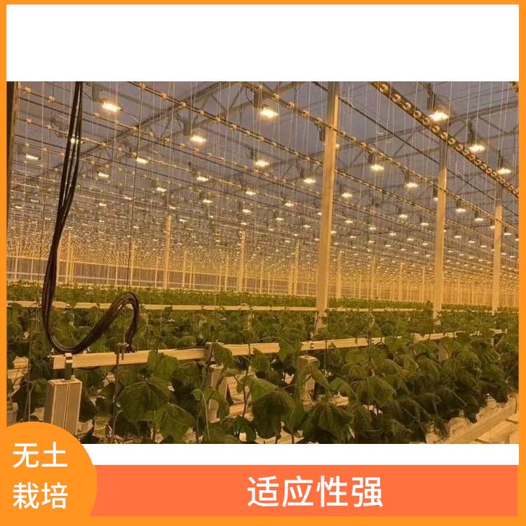 西宁无土栽培施工厂家 无土栽培种植大棚 管理简单