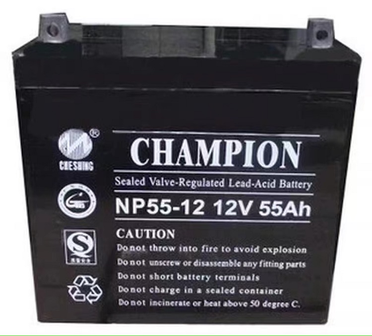 CHAMPION蓄电池 NP55-12太阳能直流屏机房船舶