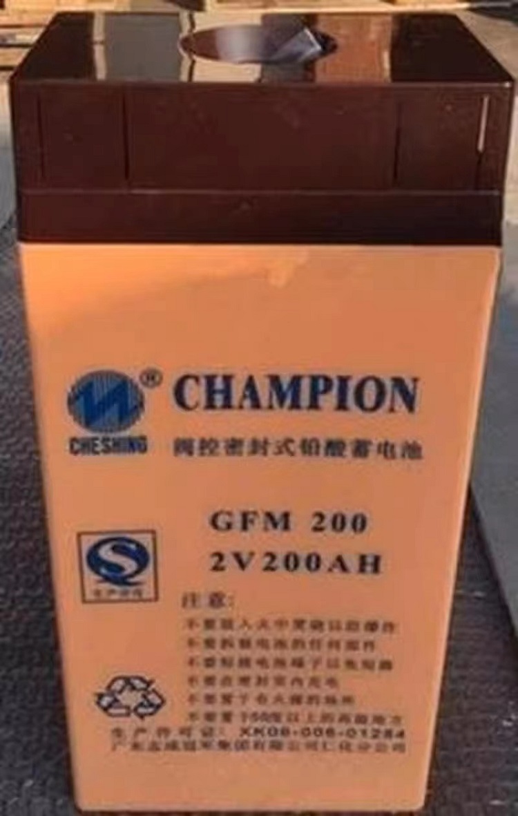 CHAMPION蓄电池CHAMPION GFM500-2铅酸直流屏太阳能