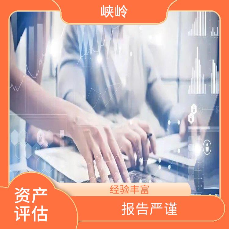 甘孜加油站资产评估流程 经验丰富