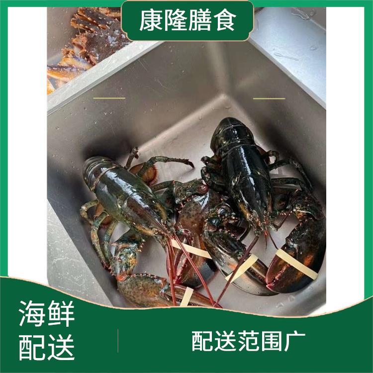 东莞企石镇海鲜配送平台电话 多样化选择 满足不同客户的需求