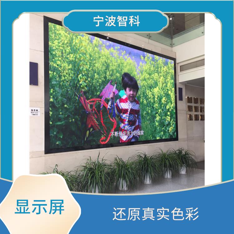 舟山led电子屏电话